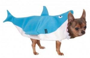 Costume Squalo Per Cani