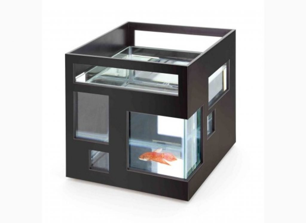 acquario hotel marino regalol