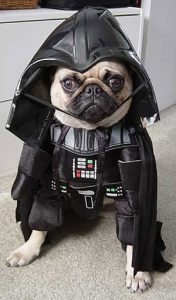 Costume Per Cane Darth Vader