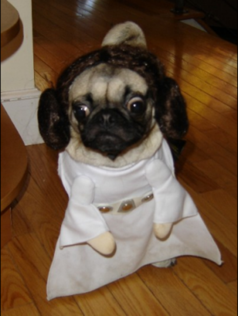costume cane principessa leila star wars regalol