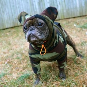 Felpa Copriorecchie Per Bulldog