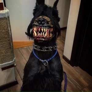 Museruola Lupo Mannaro