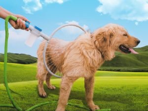 Anello Doccia Per Lavaggio Cane