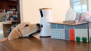 Videocamera Per Cani Lancia Croccantini