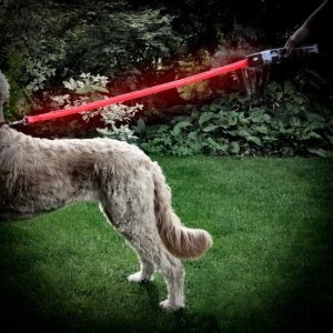 Guinzaglio Led Spada Laser