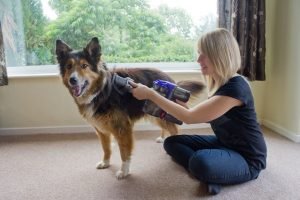 Accessorio Spazzola Cattura Peli Dyson