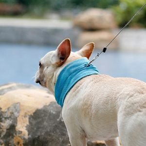 Bandana Refrigerante Per Cani