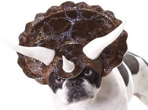 Costume Per Cane Da Triceratopo