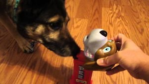 Dispenser Croccantini Portatile