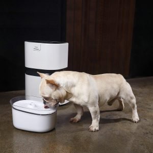 Fontana Acqua Smart Per Cani