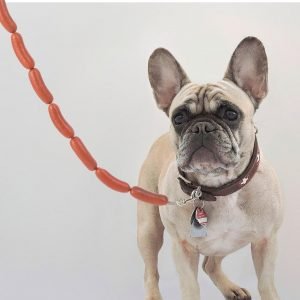 Guinzaglio A Forma Di Salsiccia