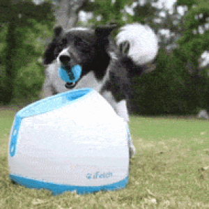 Mini Lancia Palline Per Cane