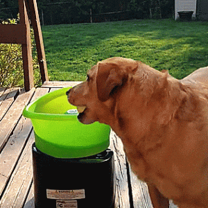 Lancia Palline Automatico