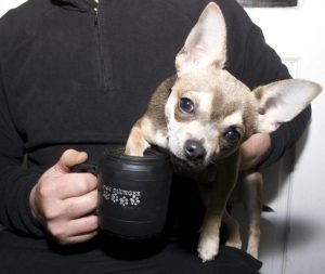 Tazza Pulisci Zampe Cane