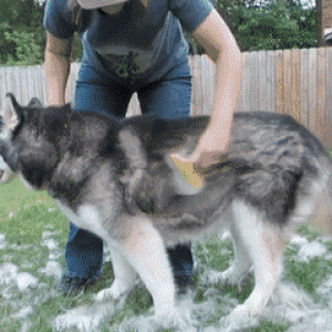 Spazzola Per Sottopelo