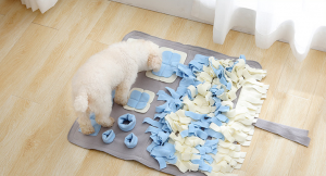 Tappeto Sviluppo Olfatto