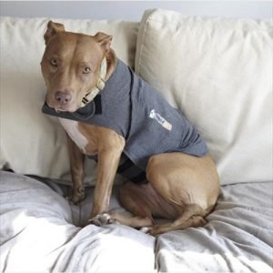 Cappotto Anti Ansia Per Cani