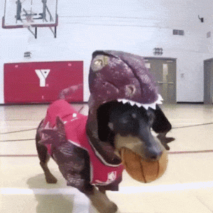 Costume Da Raptor Per Cane
