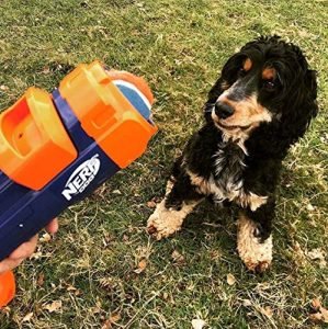 Blaster Nerf Per Cani