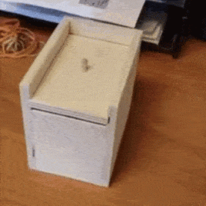 Scatola Scherzo Con Ragno