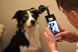 Selfie Stick Per Cani Con Gancio Biscotto