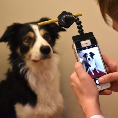 Selfie Stick Per Cani Con Gancio Biscotto