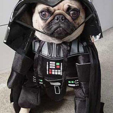 Costume Per Cane Darth Vader