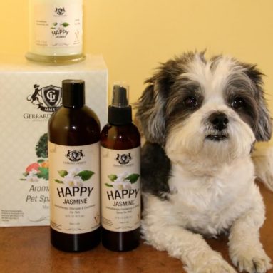 Aromaterapia Anti Stress Per Cani