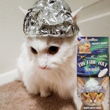 Cappello di Alluminio Per Gatti Paranoici