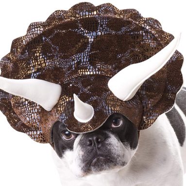 Costume Per Cane Da Triceratopo