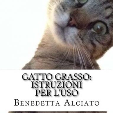 Gatto Grasso: Istruzioni Per L’Uso
