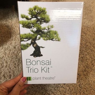 Kit Per Coltivazione Bonsai